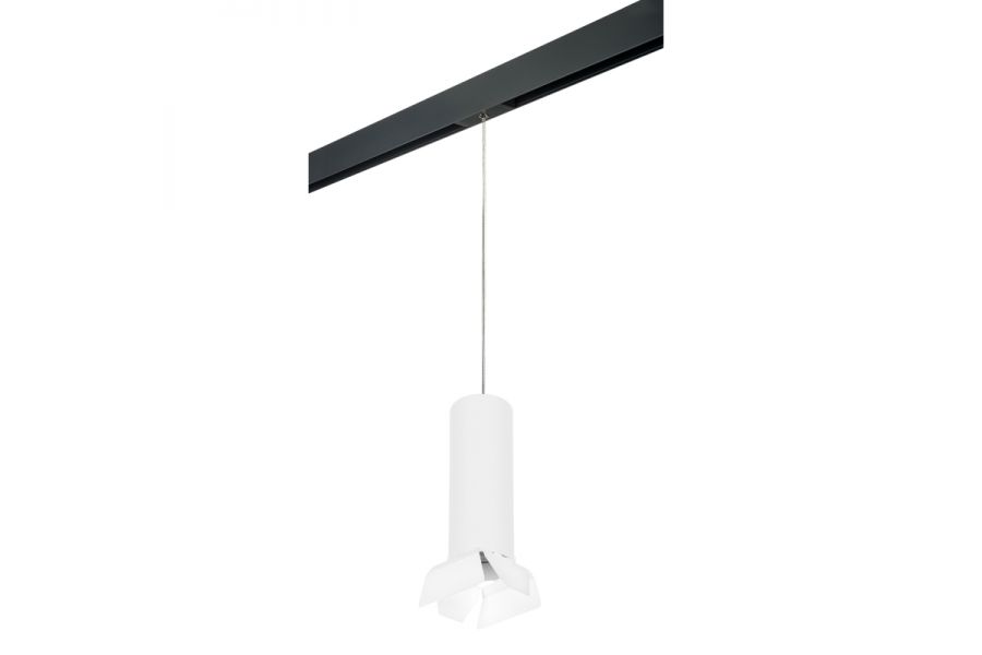 Трековый светильник Lightstar Rullo PRORP6496486 (216496+595887+202486)