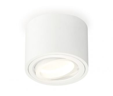 Потолочный светильник Ambrella Light Techno Spot XS7510001 (C7510, N7001)