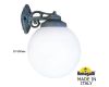 Уличный настенный светильник Fumagalli Globe 300 G30.131.000.VYF1RDN