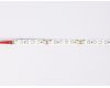 Светодиодная лента Ambrella Light LED Strip 24В 2835 10Вт/м 6500K 5м IP20 GS3103