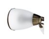Потолочная люстра Arte Lamp 3 A6056PL-3AB