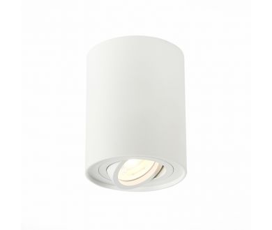 Купить Потолочный светильник ST LUCE ST108.517.01 Потолочный светильник ST LUCE ST108.517.01