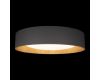 Потолочный светильник Loft IT Coin 10202 Grey