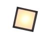 Уличный светодиодный светильник ST Luce Cubista SL077.402.01