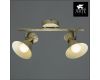 Спот Arte Lamp Baltimore A1406AP-2WG