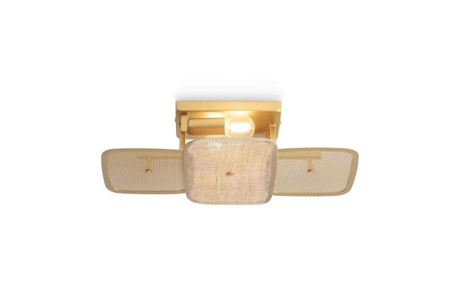 Потолочный светильник Freya Saffle FR5572CL-02G