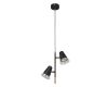 Подвесной светильник F-Promo Trandy 4618-2P