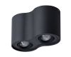 Потолочный светильник Arte Lamp Falcon A5645PL-2BK