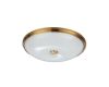 Настенно-потолочный светильник Odeon Light Pelow 4956/5