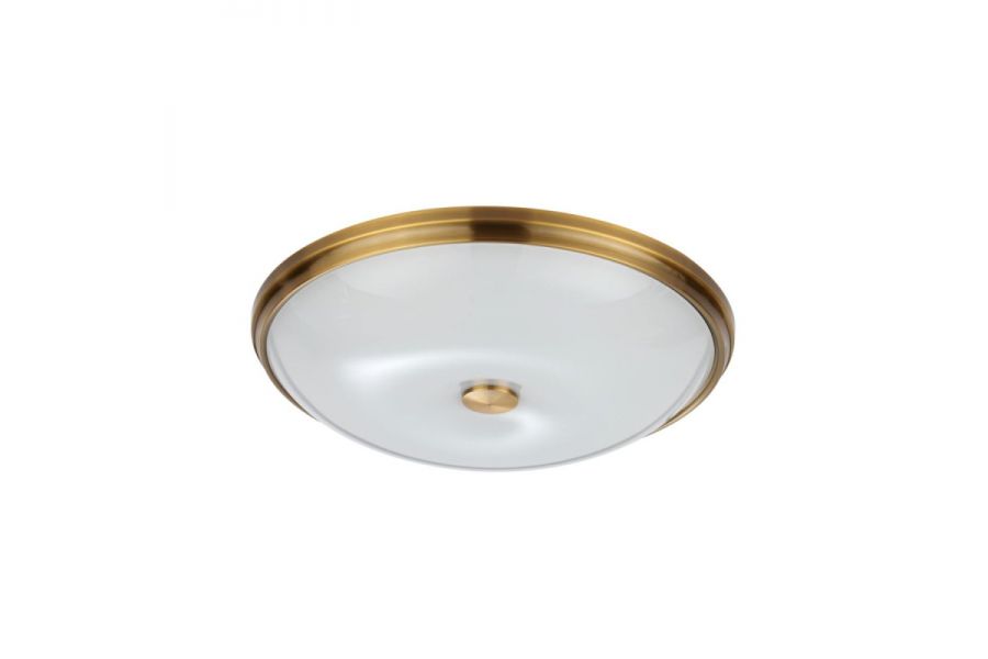 Настенно-потолочный светильник Odeon Light Pelow 4956/5