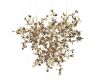 Подвесная люстра Loft IT Spark 10101/3 Gold