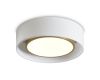 Потолочный светильник Freya Cozy FR6170CL-L52BS