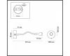 Бра Odeon Light 4254/3WL