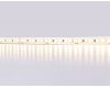 Светодиодная лента Ambrella Light LED Strip 24В 2835 14,4Вт/м 3000K 5м IP20 GS3201