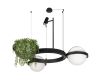 Подвесная люстра Loft IT Jardin 10121/2