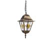 Уличный подвесной светильник Arte Lamp Berlin A1015SO-1BN