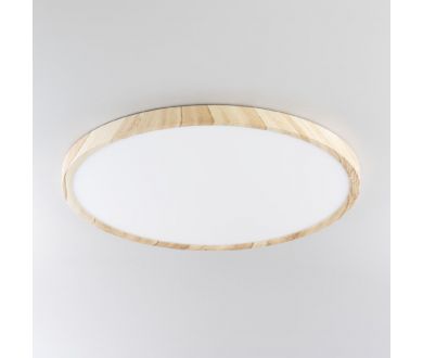 Потолочный светильник Citilux Бейсик CL738322V