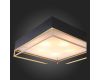 Накладная люстра ST-Luce SL1127.422.05