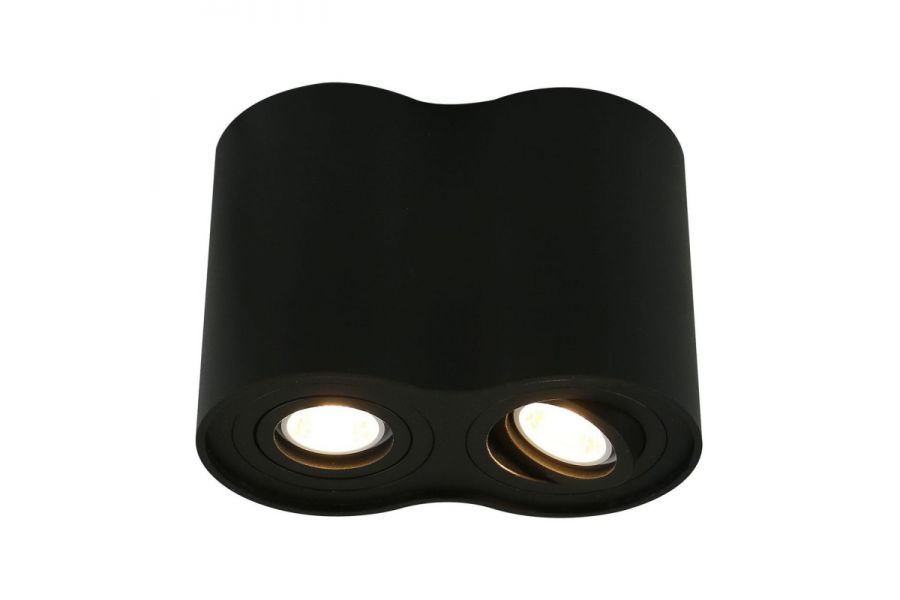 Потолочный светильник Arte Lamp A5644PL-2BK