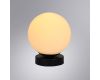 Настенно-потолочный светильник Arte Lamp Alcor A2224PL-1BK