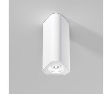 Потолочный светильник Elektrostandard Trio 25110/LED 4690389205859 a067062