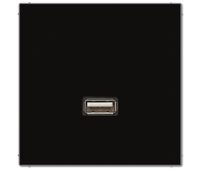Розетка USB Jung MALS1122SW