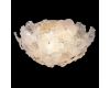 Потолочный светильник Crystal Lux MAGNOLIA PL12 GOLD