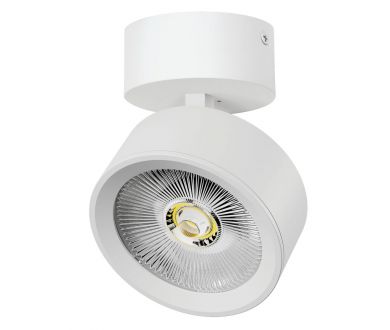 Накладной светильникAlta Pro Lightstar A5646SO