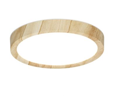 Потолочный светильник Citilux Бейсик CL738122N