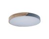 Потолочный светильник Loft IT AXEL 10004/36 Grey