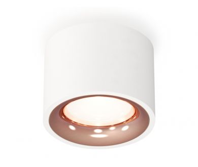 Потолочный светильник Ambrella Light Techno Spot XS7510025 (C7510, N7015)