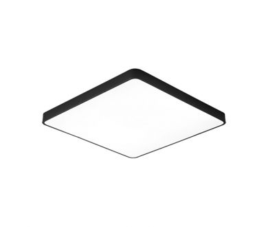 Потолочный светодиодный светильник Arte Lamp Scena A2669PL-1BK