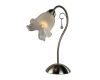 Настольная лампа Arte Lamp 78 A7957LT-1SS