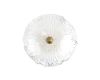 Настенный светильник Loft IT Bloom 10352W/B AB