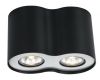 Потолочный светильник Arte Lamp Falcon A5633PL-2BK