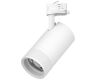 Трековый трехфазный светильник Quattro 20-55G с адаптером Lightstar Canno Pro C4406QT (304406 + 594006)