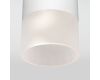 Уличный потолочный светильник Elektrostandard Light LED 4690389177927