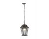 Уличный подвесной светильник Arte Lamp Genova A1205SO-1BS