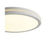 Потолочный светильник Freya Rua FR6160CL-L40W