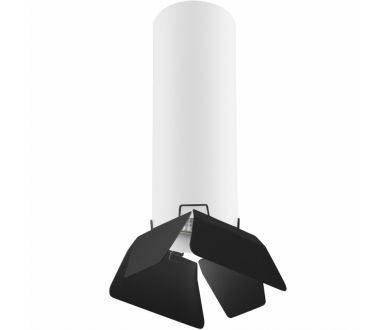 Накладной светильник Lightstar RULLO R496437 (214496+202437)