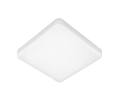 Потолочный светильник Elektrostandard DLS043 10W 4200K a047941