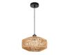 Подвесной светильник Arte Lamp Brushwood A7087SP-1BK