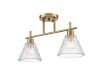 Потолочный светильник Lumion Vivian 8188/2C