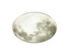 Настенно-потолочный светильник Sonex Moon 3084/DL