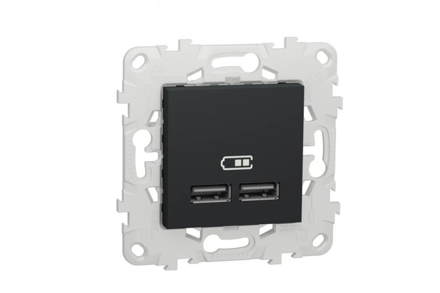 Розетка компьютерная USBx2 Schneider Electric Unica New NU541854