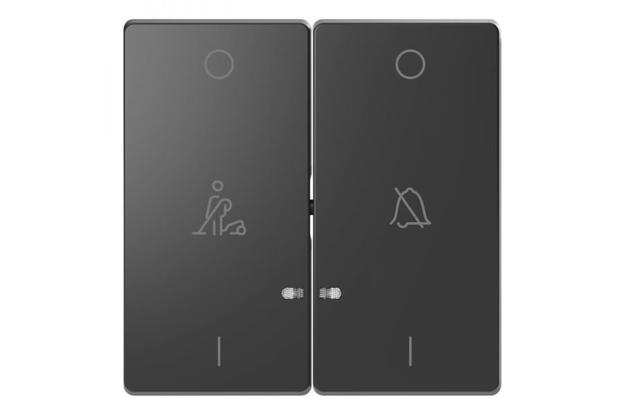 Клавиша двойная Schneider Electric Merten D-Life MTN3429-6034