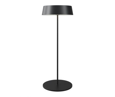 Уличный переносной аккумуляторный светильник Maytoni Porto O540TL-L2BCCT