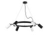 Подвесная люстра Lightstar Rullo (571016+214437-3+214436-3+202430-6) LR0163733630