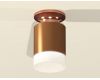 Потолочный светильник Ambrella Light Techno Spot XS6304153 (N6906, C6304, N6248)