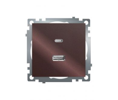 Розетка 2-местная USB + type C Stekker Катрин GLS10-7116-04 50057